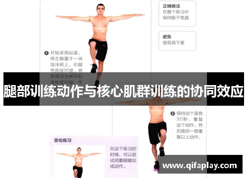 腿部训练动作与核心肌群训练的协同效应
